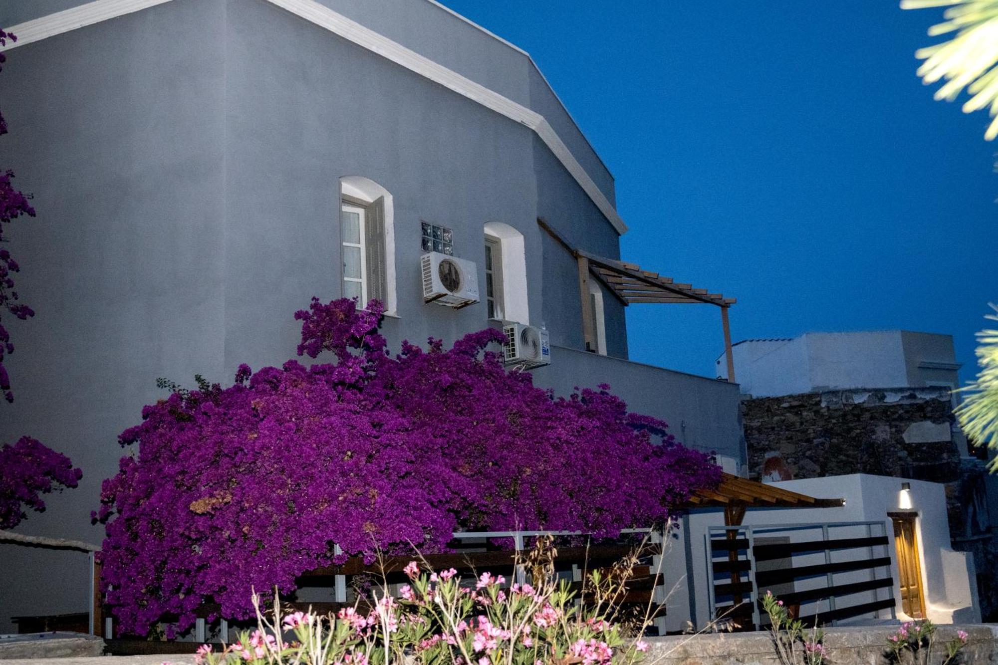 Axilleion Boutique Hotel إرموبولّي المظهر الخارجي الصورة