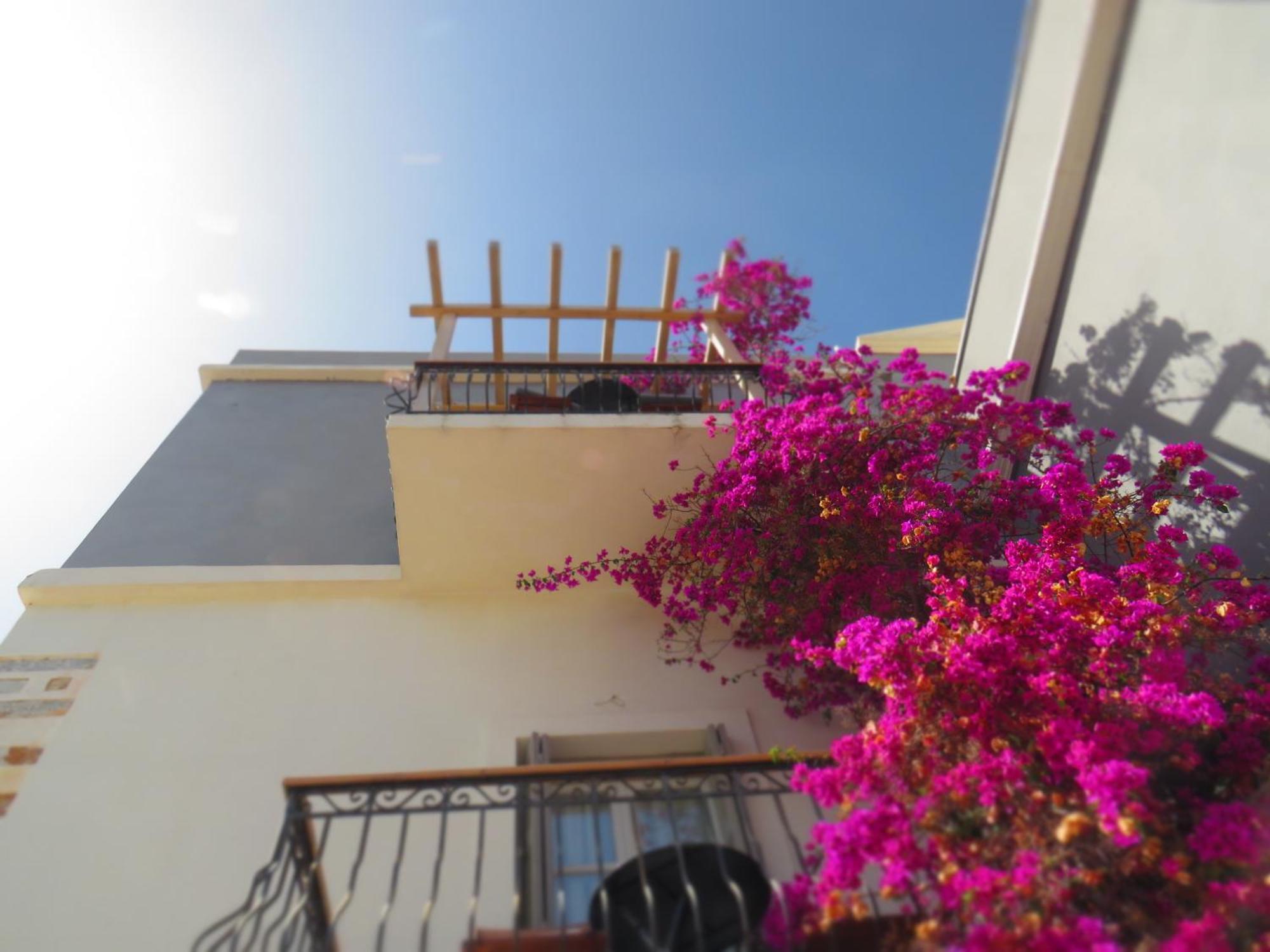 Axilleion Boutique Hotel إرموبولّي المظهر الخارجي الصورة