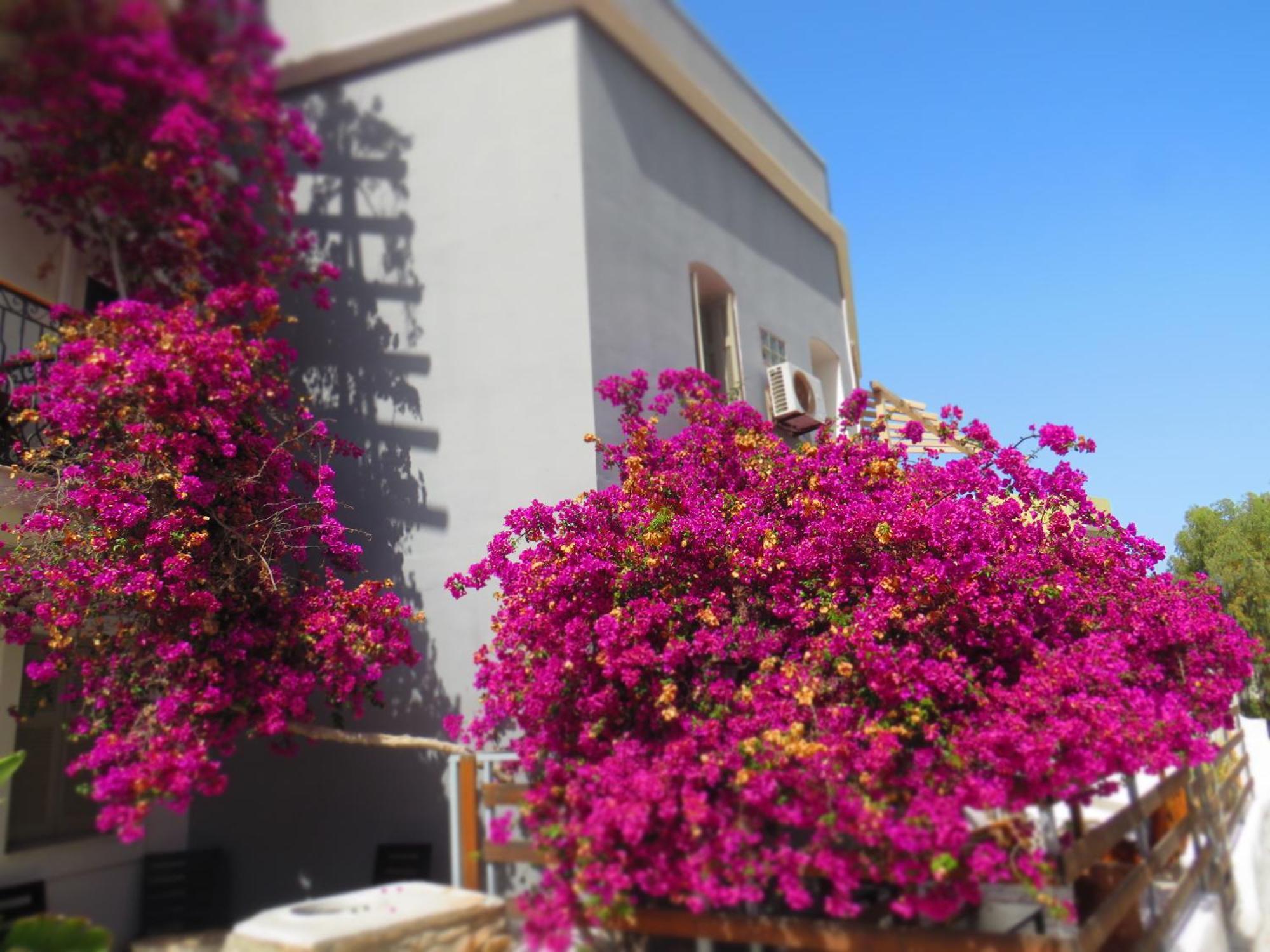 Axilleion Boutique Hotel إرموبولّي المظهر الخارجي الصورة