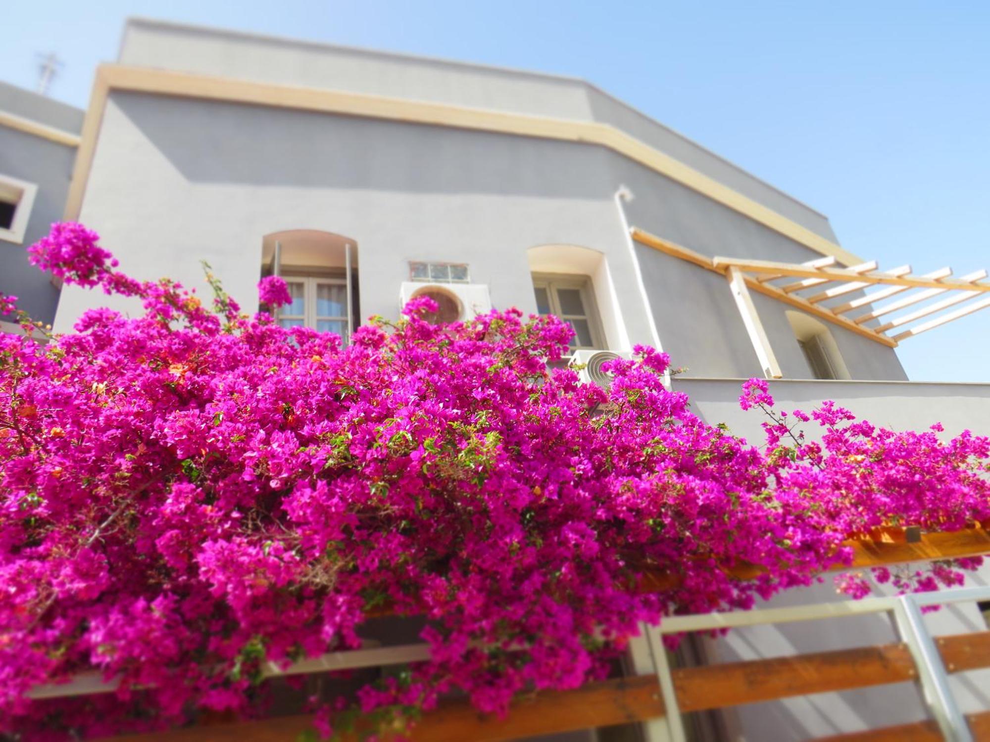 Axilleion Boutique Hotel إرموبولّي المظهر الخارجي الصورة