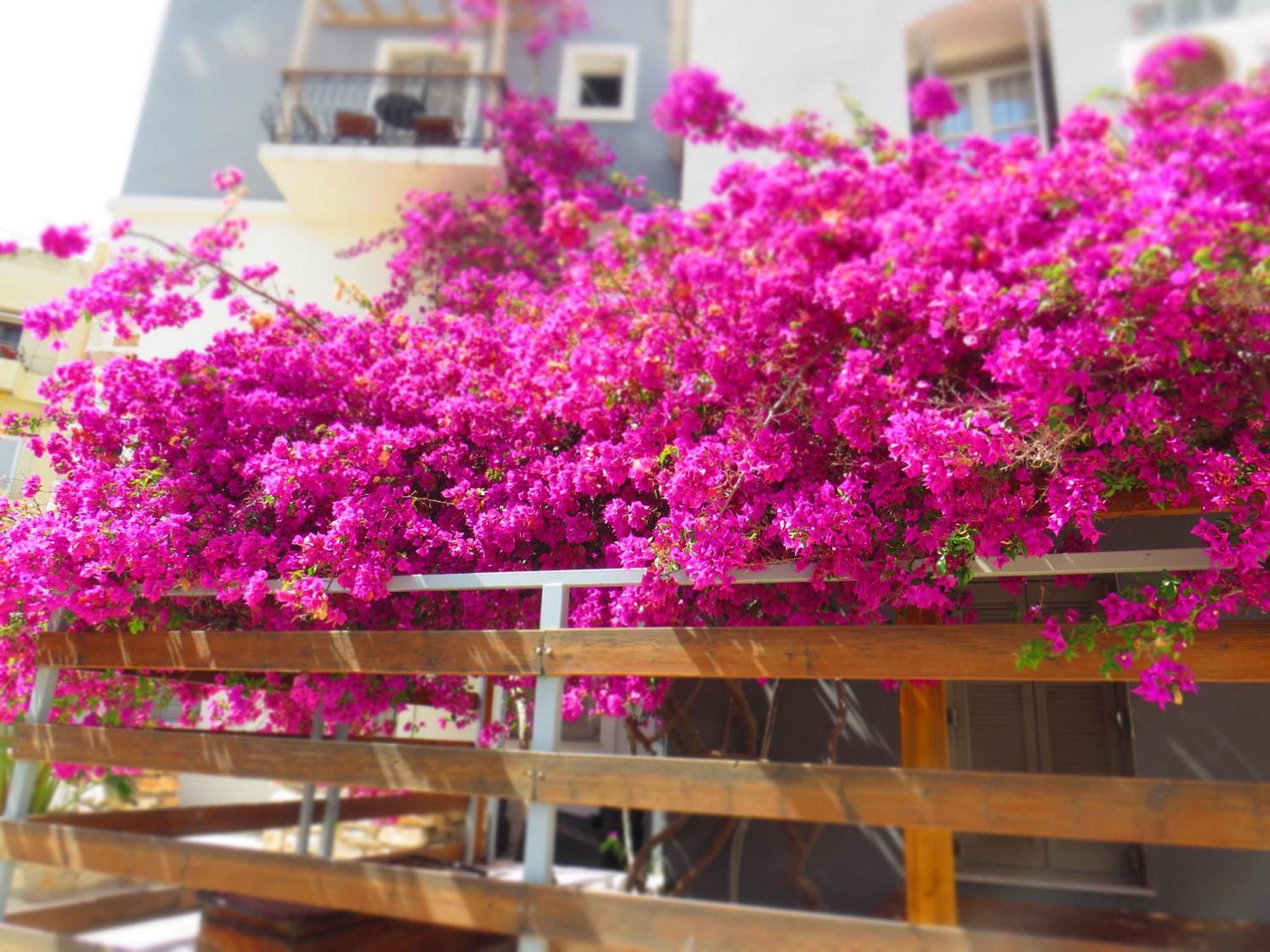 Axilleion Boutique Hotel إرموبولّي المظهر الخارجي الصورة
