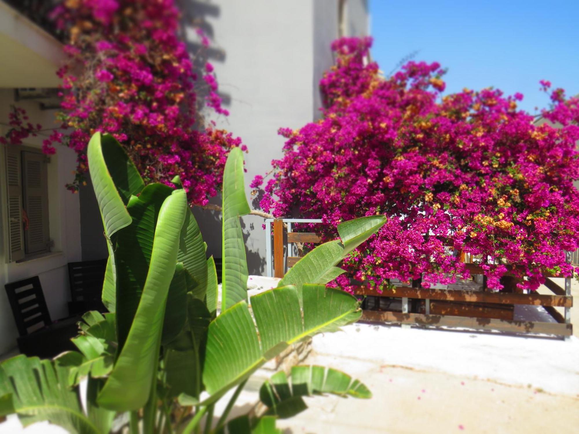 Axilleion Boutique Hotel إرموبولّي المظهر الخارجي الصورة