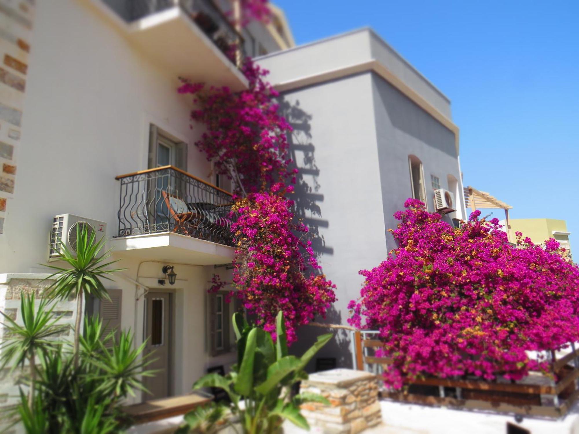 Axilleion Boutique Hotel إرموبولّي المظهر الخارجي الصورة