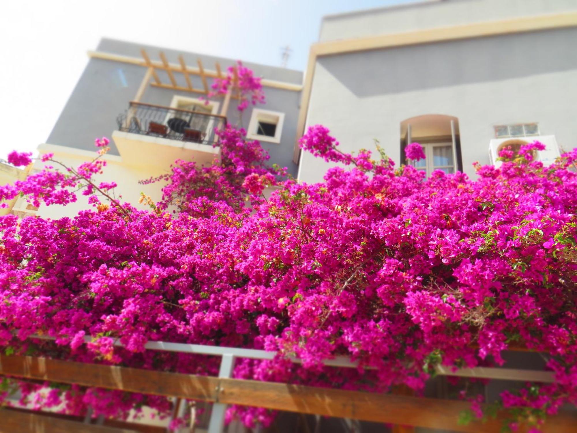 Axilleion Boutique Hotel إرموبولّي المظهر الخارجي الصورة